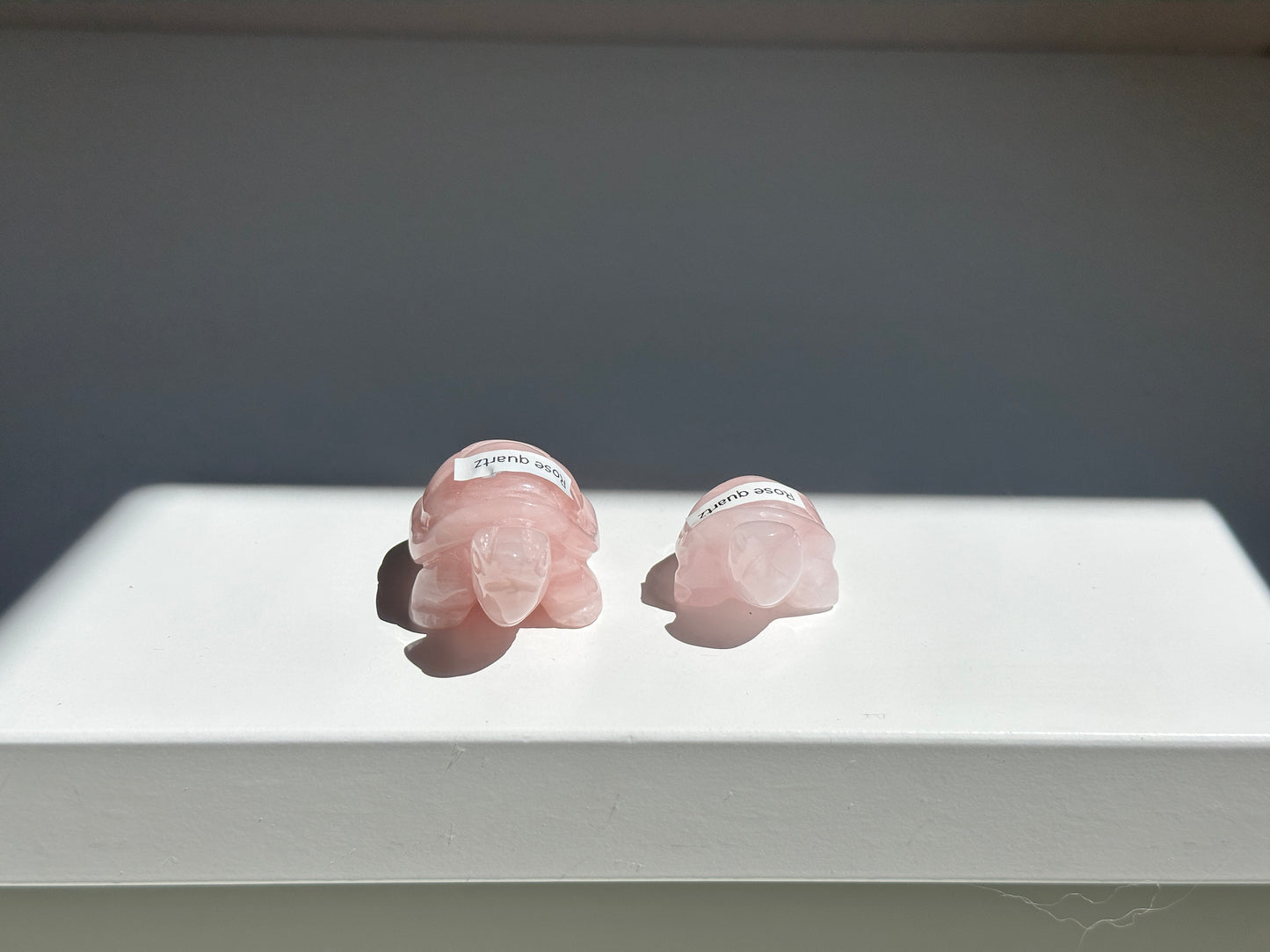Rose Quartz Turtle Pair