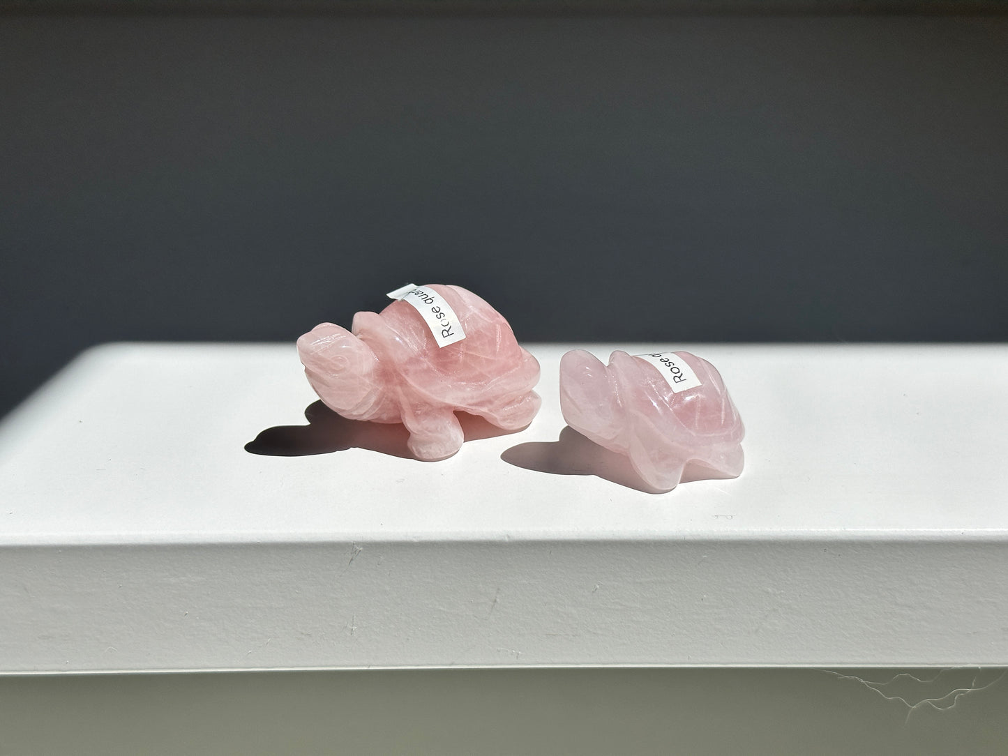 Rose Quartz Turtle Pair