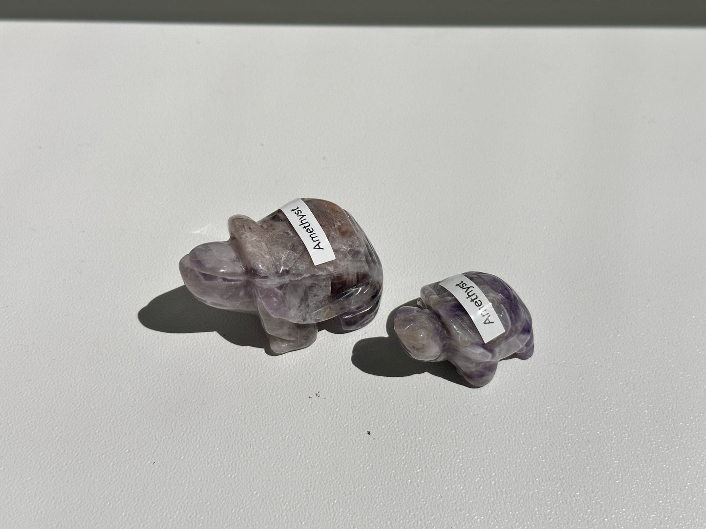 Amethyst Turtle Pair