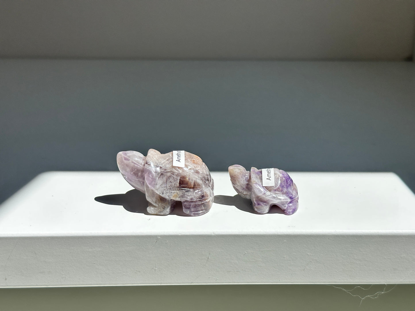 Amethyst Turtle Pair